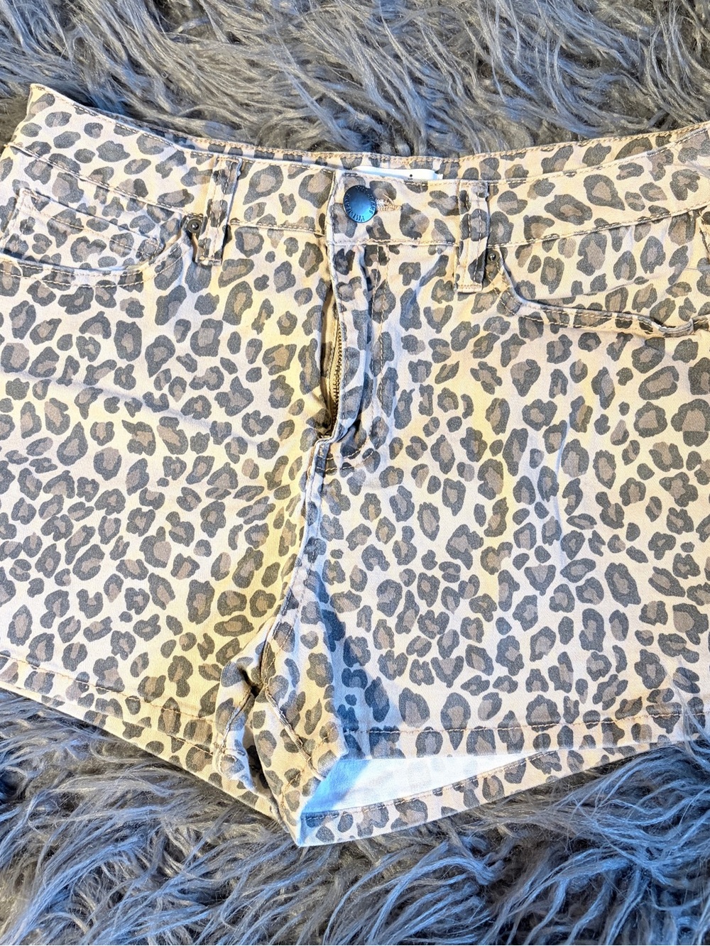 YMI Cream and Gray Leopard Print Jean Shorts